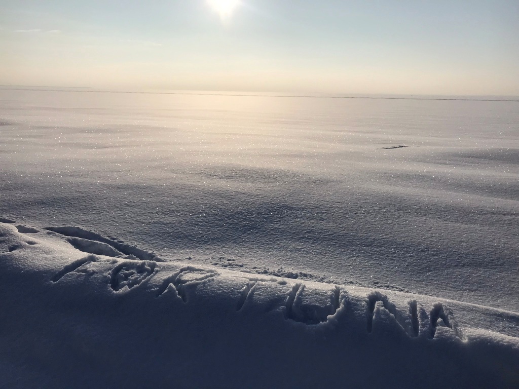 Firmenausflug Januar 2019 Reisebuero FORTUNA GmbH am Ufer des Finnischen Meerbusens