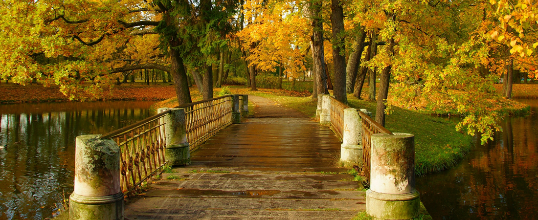 Katharinenpalast und Park (Puschkin / Zarskoje Selo)